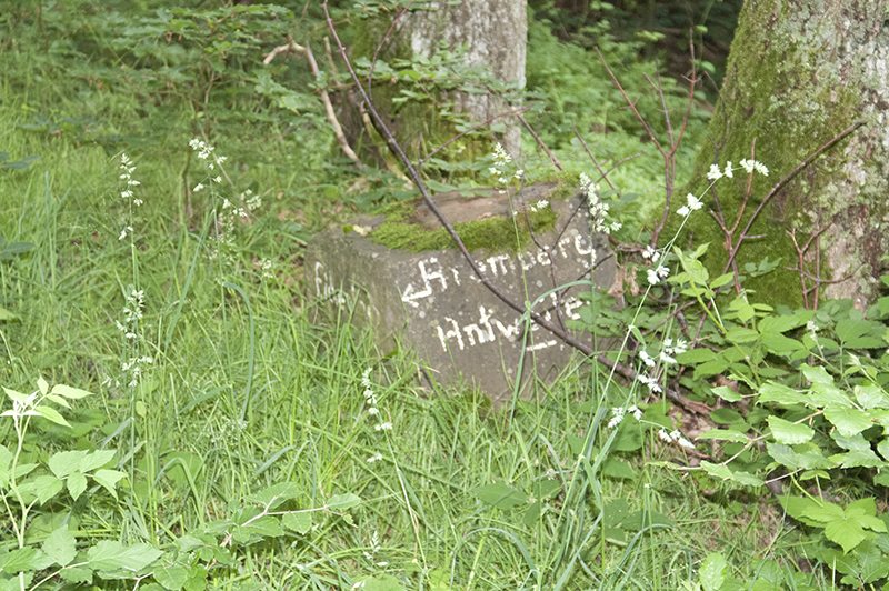 Hier steht ein Bild mit dem Titel: Bei meiner ersten Tour auf den Aremberg erhielt dieser Stein den Namen Siebzehn-Zecken-Stein. Warum wohl?