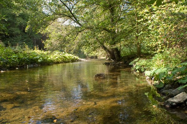 Hier steht ein Foto mit dem Titel: Wasser, Licht, ruhiges Fließen, Atmen: einfach sein. (Foto: H.-J. Schneider)