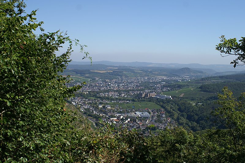 Im Vordergrund grüne Büsche, dazwischen der Blick über das Ahrtal und über die Doppelstadt Bad Neuenahr-Ahrweiler