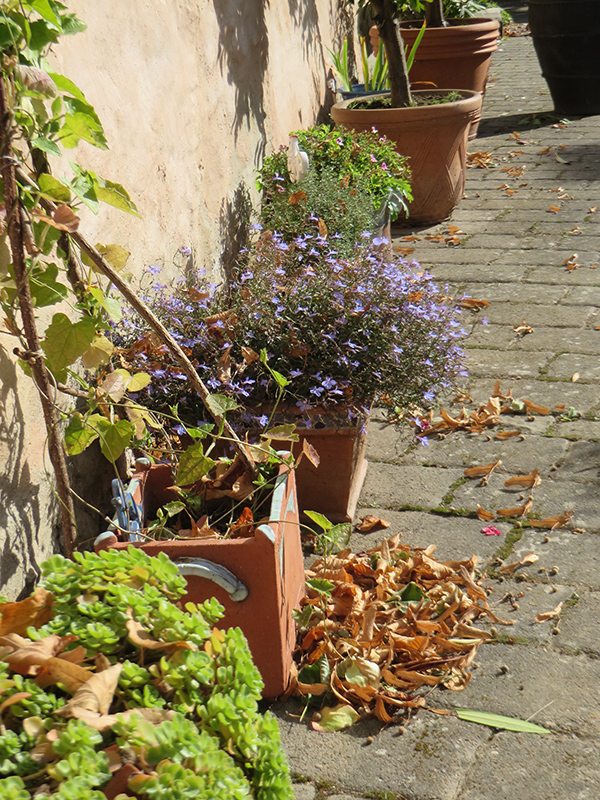 Hier steht ein Foto mit dem Titel: Sonniges Herbstwochenende in St. Johannisberg (Foto: Hans-Joachim Schneider)