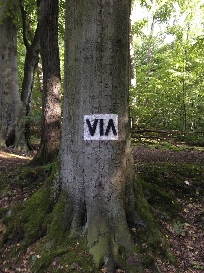 Markierung VIA auf einem Baum am Wegrand verweist darauf, dass wir hier auf einem alten Römerweg laufen.