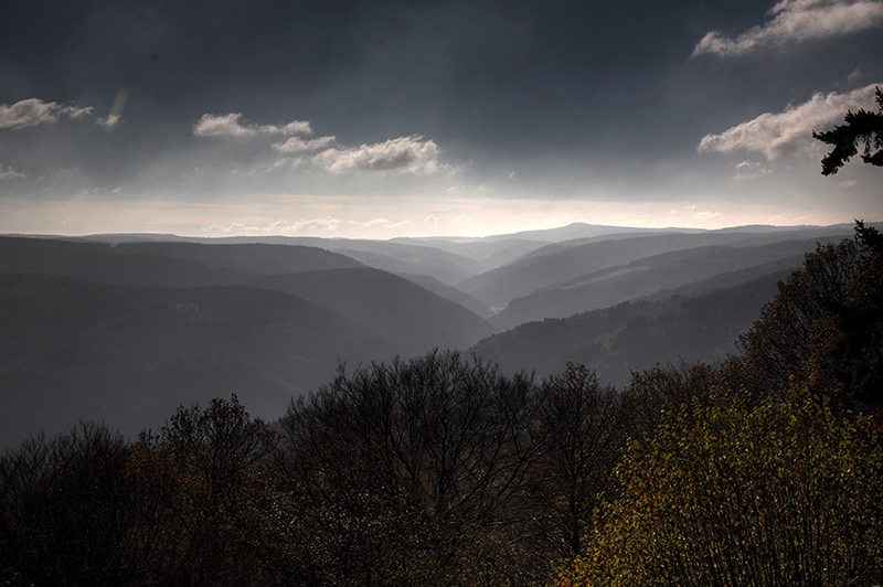 Hier steht ein Bild mit dem Titel: Panoramen vom Steinerberg, eines faszinierender als das andere (Foto: Norbert Schneider)