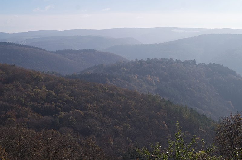 Hier steht ein Bild mit dem Titel: Panorama vom Steinerberg, Variation (Foto: Hans-Joachim Schneider)