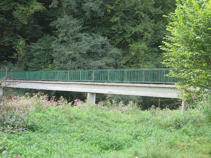 Hier steht ein Bild mit dem Ttiel: Und noch ne Brücke über die Nister (Foto: Hans-Joachim Schneider)