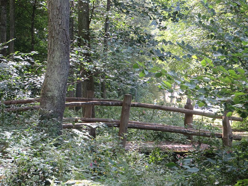 Die kleine zauberhafte Holzbrücke, bringt mich am Waldrand zum Parkplatz bringt 