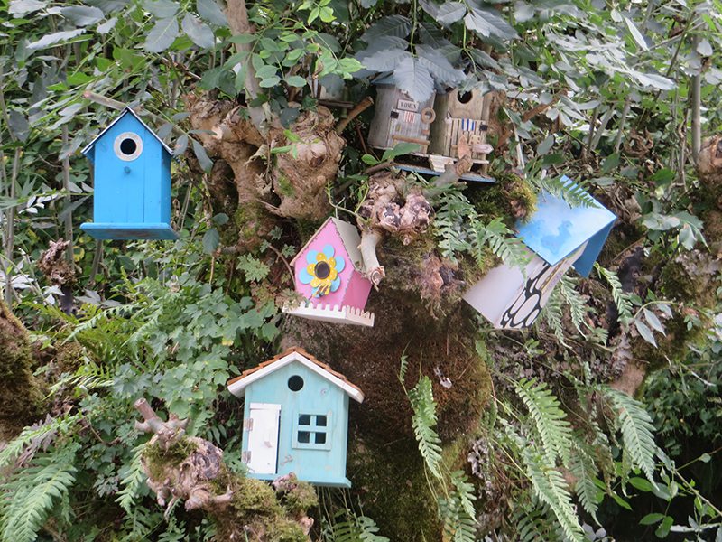 Bunte Vielfalt: Viele verschiedenfarbige Vogelhäuschen hängen in einem Baum beim Hotel Weißmühle 