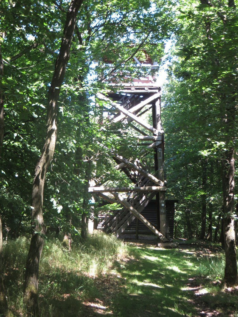 Eine Holzkonstruktion im Wald, ein Turm, fast versteckt im Grün, der Alfred-Dahm-Turm