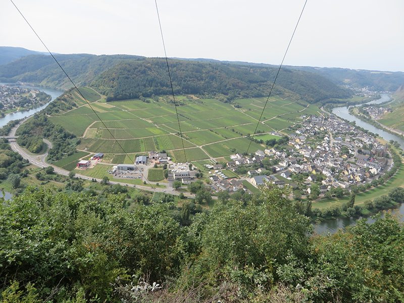 Blick, Panorama, Mosel, Stromleitungen, Weinberge, Blick ins Tal