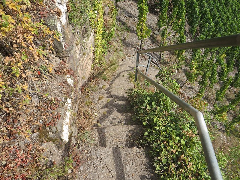 Weinberg, Weinbergtreppe, Abstieg, Geländer, Sonne, Schatten