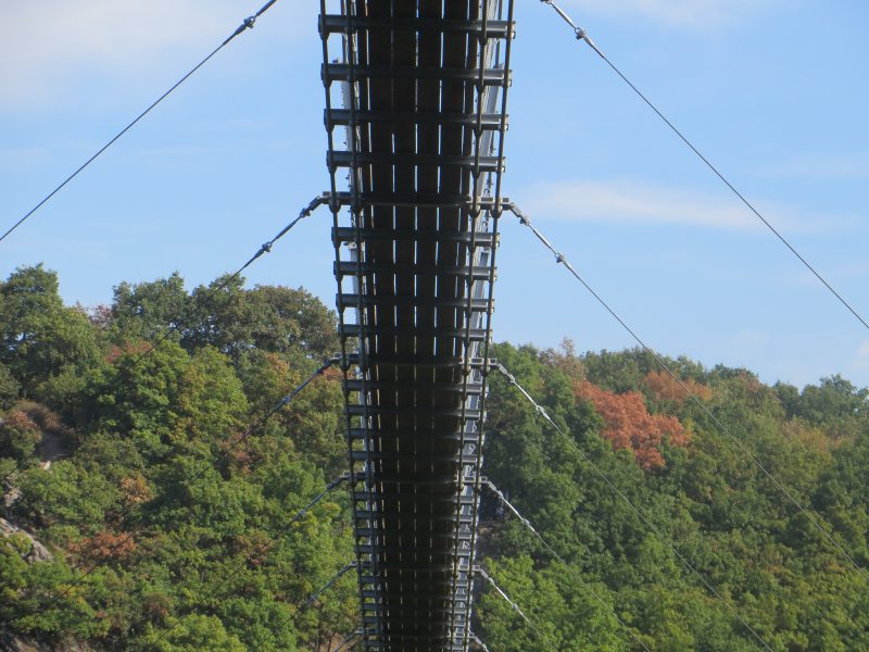 Die Hängeseilbrücke – Sicht von unten auf die Geierlay-Brücke