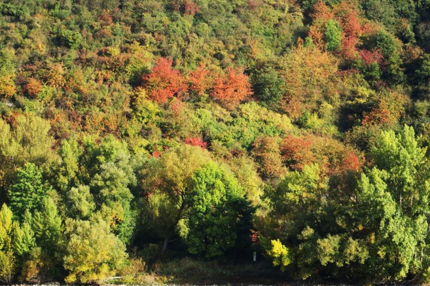 Bunter Herbstlaub verzaubert das gegenüberliegende Ufer in eine rauschende Farbpallette