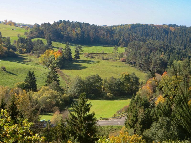 Blick über ein grünes Tal, durchsetzt mit Bäumen und Buschgruppen, auch das ist der AhrSteig blau