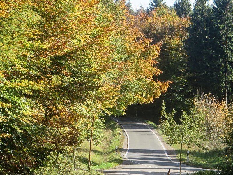Diese AhrSteig-Etappe führt weitgehend durch den Aremberger Forst (Foto: Hans-Joachim Schneider)