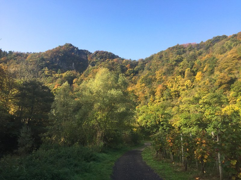 blauer Himmel, Hügel. Bäume in Herbstfarben, ein malerischer Ausklang