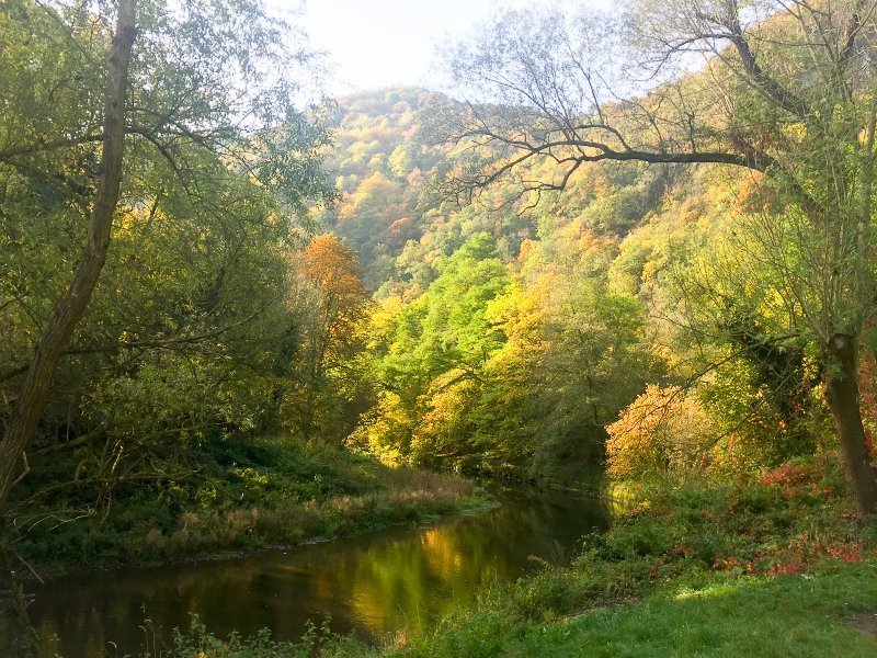 Der Fluss im Vordergrund, dahinter bewaldete Hügel. das alles in Herbstfarben