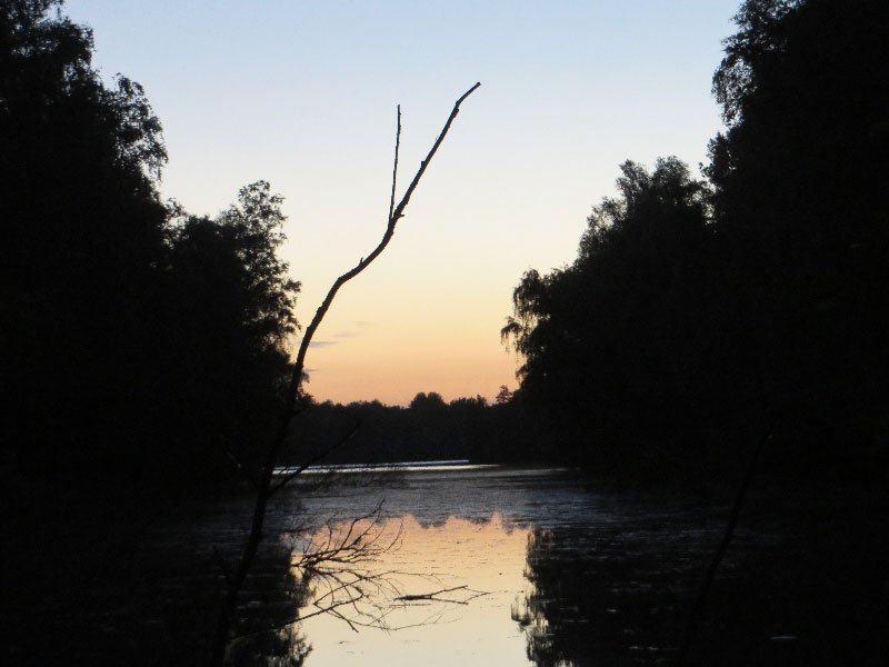 Wasser, Wald, Sonnenaufgang bei der Frühaufstehertour 