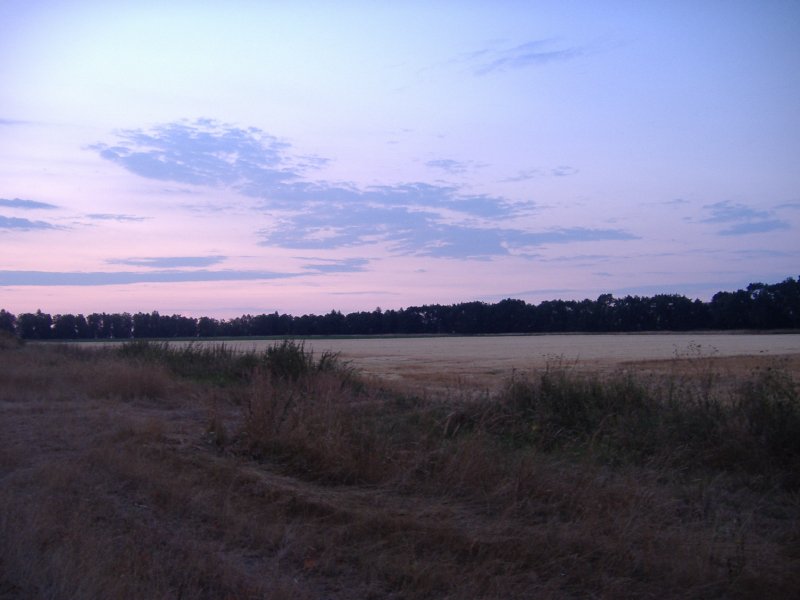 Sonnenaufgang, Felder, Acker, Horizont