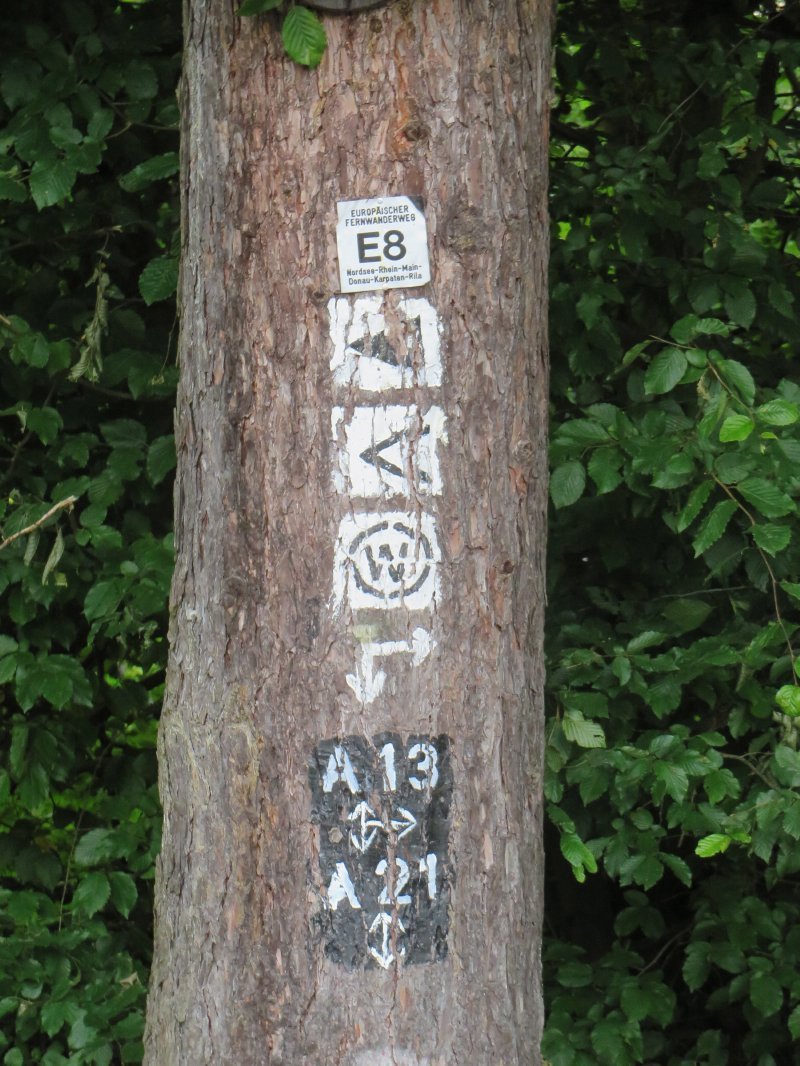 Baum, Wald, Wegezeichen, Markierungen am BAum