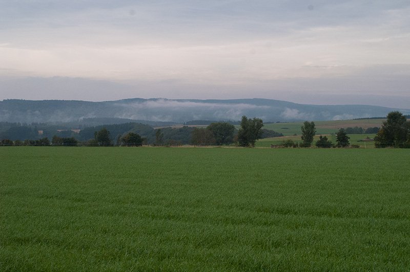 Blick über grüne Felder, im Hintergrund der Horizont mit bewaltedeten Kuppen, dort liegt der Saar-Hunsrück-Steig