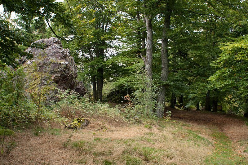 Grüne Eichen, mächtige Felsbrocken, mitten im Wald der alte Hexentanzplatz