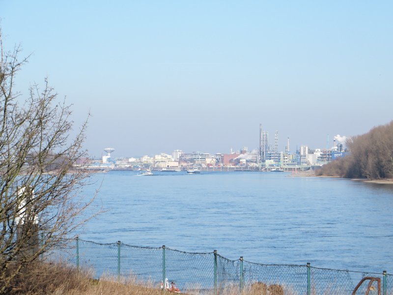 Blick über den Rhein im Vordergrund, dahinter Industrieanlagen