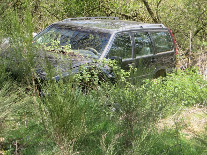 Ein Volvo-Kombi, ebenfalls einfach im Wald entsorgt