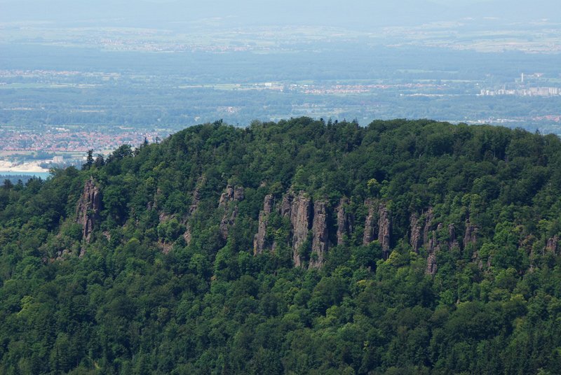 grün bewaldete Bergkuppe des Battert, im Vordergrund die Kletterfelsen