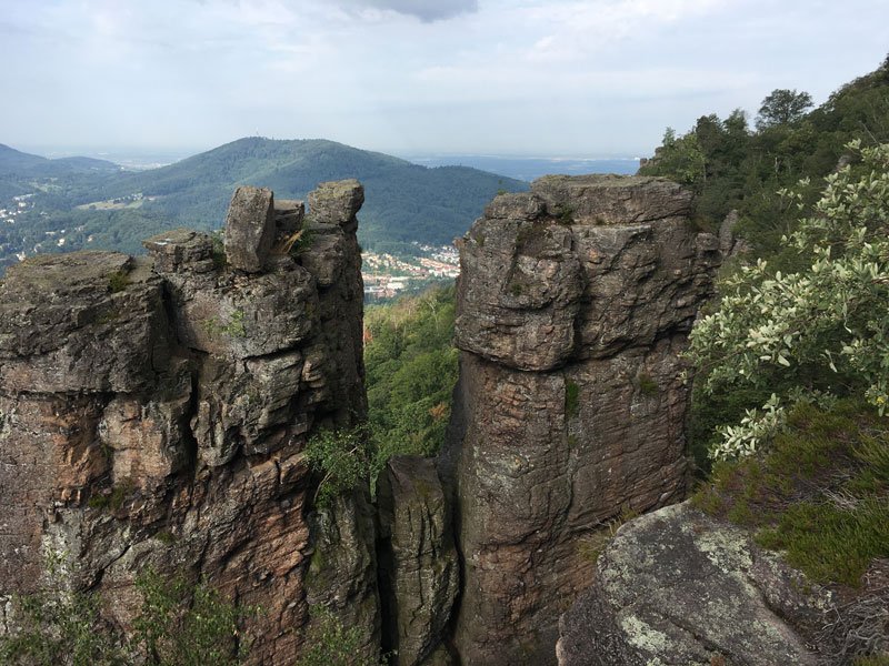 Ein wenig erinnert mich die Battertfelsen-Region mit ihren nebeneander aufragenden Felstürmen an die Sächsische Schweiz