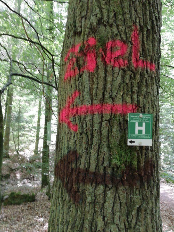 Beschriftung mit roter Farbe auf einem Baum: ZIel