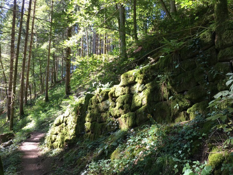 grünbemooste Steinmauern mitten im Wald am Rande des Himmelssteigs