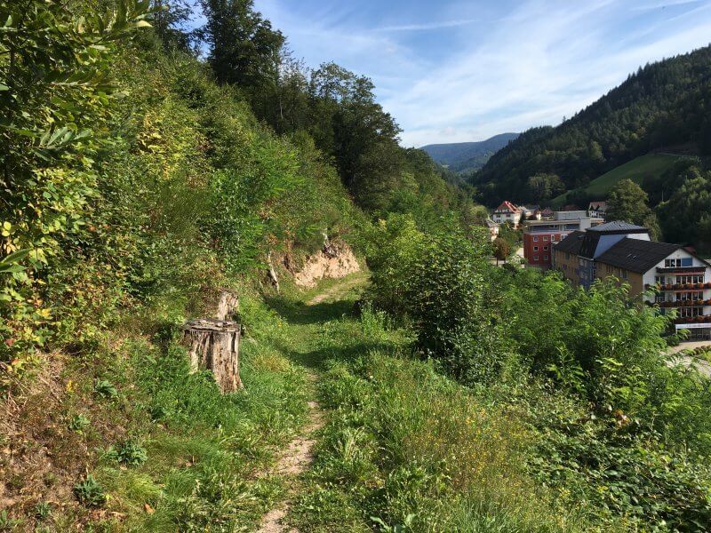 Wanderweg Schwarzwaldsteig am offenen Hang, links sind die Gebäude von Bad Peterstal zu erkennen.