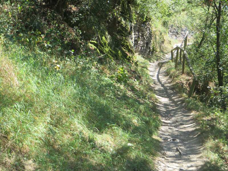 Ein holpriger Pfad, auf der rechten Seite gesichert durch ein Geländer, linker Hand grünes Gras ein paar Felsen. Die Sonne wirft Schatten über den Weg.
